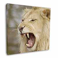 Roaring White Lion Square Canvas 12"x12" Wall Art Picture Print