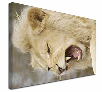 Roaring White Lion Canvas X-Large 30"x20" Wall Art Print