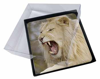 4x Roaring White Lion Picture Table Coasters Set in Gift Box