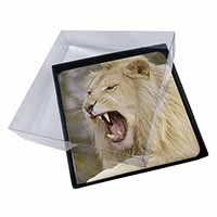 4x Roaring White Lion Picture Table Coasters Set in Gift Box