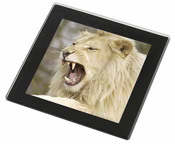 Roaring White Lion Black Rim High Quality Glass Coaster