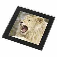 Roaring White Lion Black Rim High Quality Glass Coaster