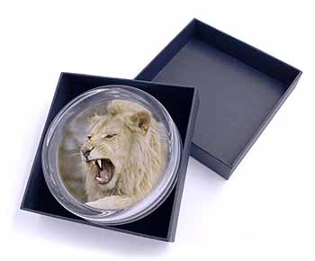 Roaring White Lion Glass Paperweight in Gift Box
