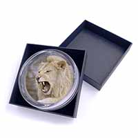 Roaring White Lion Glass Paperweight in Gift Box