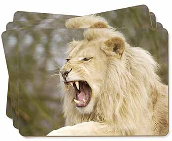 Roaring White Lion Picture Placemats in Gift Box