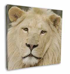 Gorgeous White Lion Square Canvas 12"x12" Wall Art Picture Print