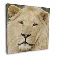 Gorgeous White Lion Square Canvas 12"x12" Wall Art Picture Print