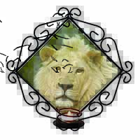 Gorgeous White Lion Wrought Iron Wall Art Candle Holder