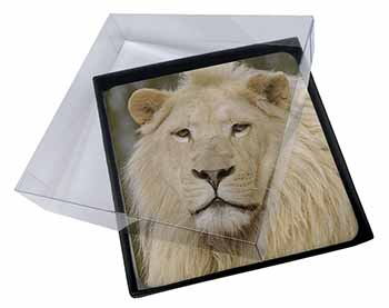4x Gorgeous White Lion Picture Table Coasters Set in Gift Box