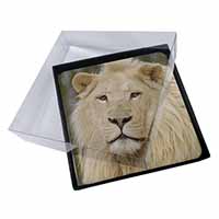 4x Gorgeous White Lion Picture Table Coasters Set in Gift Box