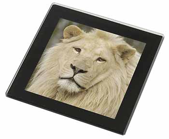 Gorgeous White Lion Black Rim High Quality Glass Coaster