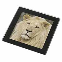 Gorgeous White Lion Black Rim High Quality Glass Coaster