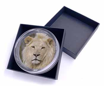 Gorgeous White Lion Glass Paperweight in Gift Box