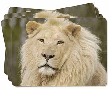 Gorgeous White Lion Picture Placemats in Gift Box