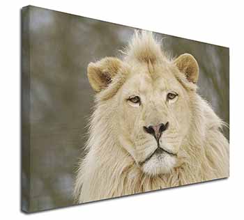 White Lion Canvas X-Large 30"x20" Wall Art Print