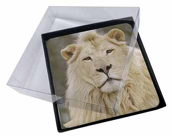 4x White Lion Picture Table Coasters Set in Gift Box