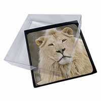 4x White Lion Picture Table Coasters Set in Gift Box