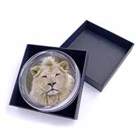White Lion Glass Paperweight in Gift Box