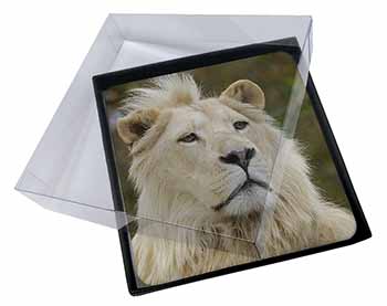 4x White Lion Picture Table Coasters Set in Gift Box