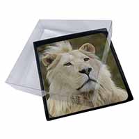 4x White Lion Picture Table Coasters Set in Gift Box