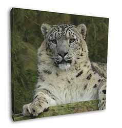 Beautiful Snow Leopard Square Canvas 12"x12" Wall Art Picture Print