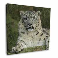 Beautiful Snow Leopard Square Canvas 12"x12" Wall Art Picture Print