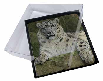 4x Beautiful Snow Leopard Picture Table Coasters Set in Gift Box