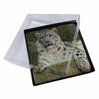4x Beautiful Snow Leopard Picture Table Coasters Set in Gift Box