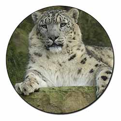 Beautiful Snow Leopard Fridge Magnet Printed Full Colour