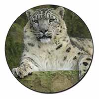 Beautiful Snow Leopard Fridge Magnet Printed Full Colour