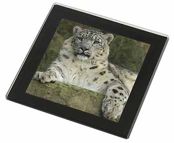 Beautiful Snow Leopard Black Rim High Quality Glass Coaster