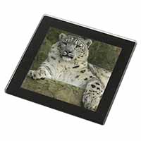 Beautiful Snow Leopard Black Rim High Quality Glass Coaster