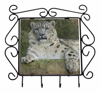 Beautiful Snow Leopard Wrought Iron Key Holder Hooks