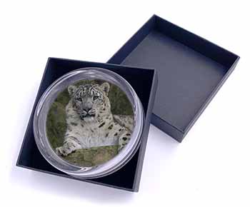 Beautiful Snow Leopard Glass Paperweight in Gift Box