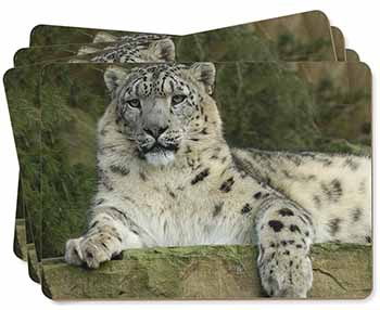 Beautiful Snow Leopard Picture Placemats in Gift Box
