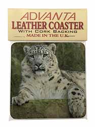 Beautiful Snow Leopard Single Leather Photo Coaster