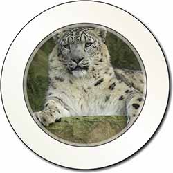 Beautiful Snow Leopard Car or Van Permit Holder/Tax Disc Holder