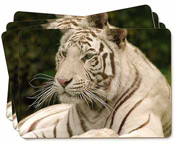 White Tiger Picture Placemats in Gift Box