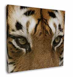 Face of a Bengal Tiger Square Canvas 12"x12" Wall Art Picture Print