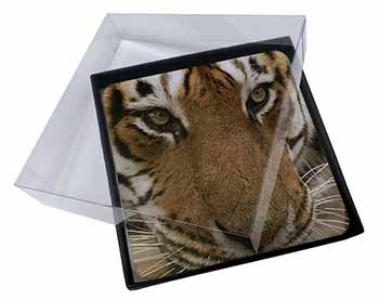 4x Face of a Bengal Tiger Picture Table Coasters Set in Gift Box