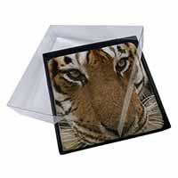 4x Face of a Bengal Tiger Picture Table Coasters Set in Gift Box