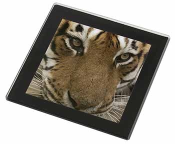 Face of a Bengal Tiger Black Rim High Quality Glass Coaster