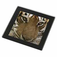 Face of a Bengal Tiger Black Rim High Quality Glass Coaster