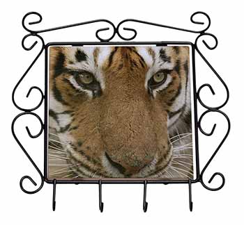 Face of a Bengal Tiger Wrought Iron Key Holder Hooks