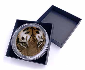 Face of a Bengal Tiger Glass Paperweight in Gift Box