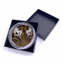 Face of a Bengal Tiger Glass Paperweight in Gift Box