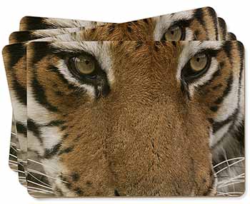 Face of a Bengal Tiger Picture Placemats in Gift Box