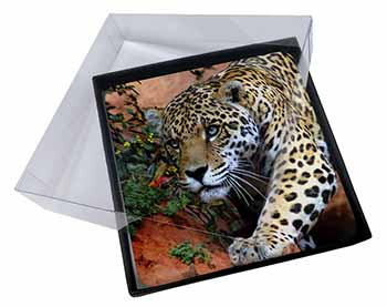 4x Jaguar Picture Table Coasters Set in Gift Box