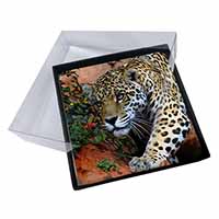 4x Jaguar Picture Table Coasters Set in Gift Box