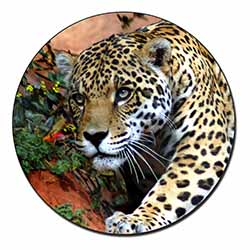 Jaguar Fridge Magnet Printed Full Colour